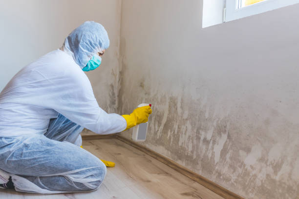 Commercial Mold Remediation assessment for commercial property in Hanover