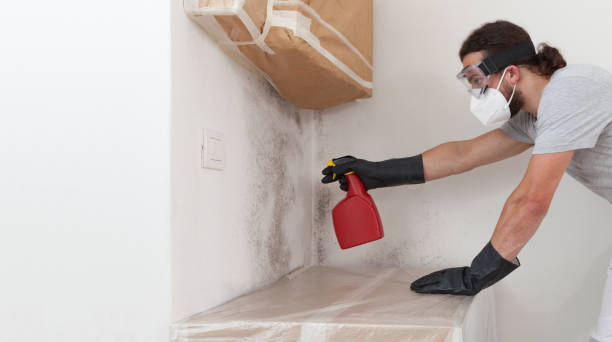 Basement Mold Remediation treatment on basement walls in Hanover