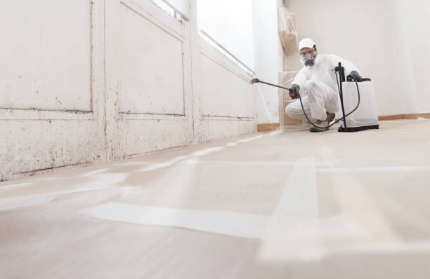 Post-remediation clearance in Hanover